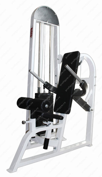 Жим книзу "брусья" (100 кг) ProfiGym ТГ-0350-C Жим книзу "брусья" (100 кг) ProfiGym ТГ-0350-C